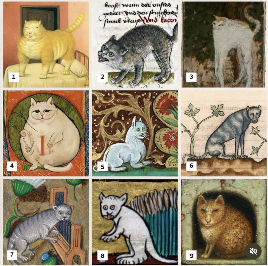 Mediaeval Cats